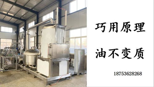 小魚小蝦真空油炸機自動脫油油炸機 現(xiàn)代化食品加工設備的革新應用