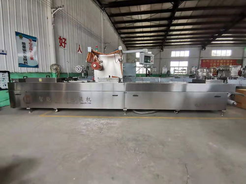 全自動真空包裝設備 現(xiàn)代包裝技術的革新與應用